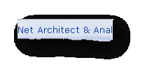 Net Architect & Anal
