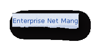 Enterprise Net Mang