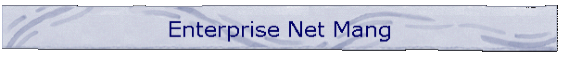 Enterprise Net Mang