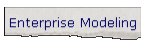 Enterprise Modeling