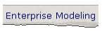 Enterprise Modeling